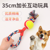 Pet dog knot toy molar bite rope Teddy golden retriever big dog resistant to bite clean tooth interactive training toy ball