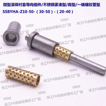 SSBYHA-Z10-50-(30-50)-(20-40) Miniature Ball Bushing Guide Assembly