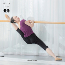 North dance pants womens closing radish pants black summer sports dancing bodybuilding pants mens practice pants 7 points