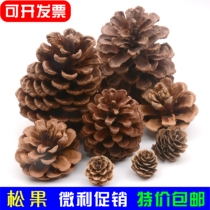 Natural pine cones pine towers dry branches childrens handmade materials environmental creation arrangement of forest logs dried flowers kindergarten decoration