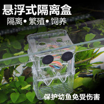 Sen Sen juvenile hatchery box Guppy breeding box Fish tank Isolation betta fry ovipositor Tropical fish Acrylic