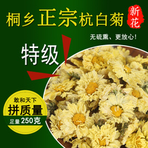 Chrysanthemum Tea Chrysanthemum Tongxiang premium authentic Chrysanthemum Hangzhou white Chrysanthemum Gong Chrysanthemum Yellow Chrysanthemum 250g bulk new flower