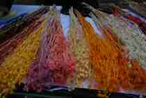 Bleached lover fruit wedding floral photo props space beautiful scene layout fruit category