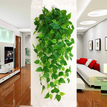 Green loo long vines emulation decorative rattan plastic leaf Indoor wall-mounted fake flower green plant hanging wall hanging basket on wall