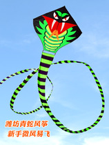 21 New green snake kite breeze easy-to-fly adult special large high-end long-tailed snake childrens cartoon beginner style competition