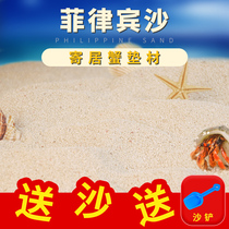 Hermit crab special sand natural pad coral sand Philippine sand landscape native shell sand Three Lakes carving bottom sand