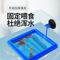 Fish tank feeder aquarium fish food feeder feeding ring small fish tropical peacock feed buoyant feeder