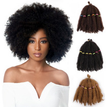 Short Afro Kinky Curly Crochet Lichen Synthetic Hair Curly Hair