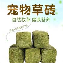 Grinding Tooth Grass Brick Clover Grinding Tooth Grass Block Small Darling Grinding Tooth Rabbit Dragon Cat Guinea Pig 1 catty