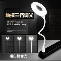 Charging treasure light External light Dual-use LED portable light USB mini night light Computer table lamp Energy-saving portable night light