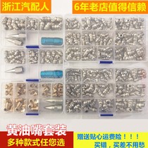 Butter nozzle portable set boxed butter nozzle stainless steel nozzle butter gun oil nozzle M6M8M10 iron nickel plated