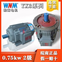 Wannan Motor high efficiency three-phase asynchronous motor Nanhua YE3-80M1-2 0 75KW B3 B5 B35
