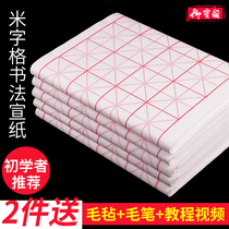 Mi-Ze Xuan Paper Calligraphy Special Paper Works Paper Beginners Calligraphy Paper Practice Paper Four-foot Whole Plaid Xuan Paper Half-cooked MiG Xuan Paper Soft Pen Set