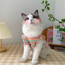 Rainbow Cherry ~ summer ins pet dog cat clothes summer thin hair-proof bubble sleeve vest