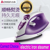 electric compact iron steam soleplate clothes steamer electric iron