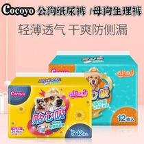 Pet cat and dog diaper strong absorbent pad diaper wet pants portable Teddy guide urine and stool thickening deodorant