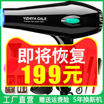 Electric hair dryer household barber shop size power hair salon negative ion hair care hot and cold wind drum dormitory students