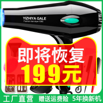 Electric hair dryer household barber shop size power hair salon negative ion hair care hot and cold wind drum dormitory students