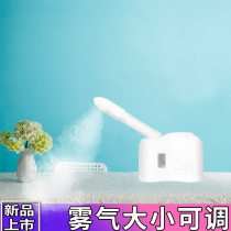 (Tai Dong Flagship Store) Cold Spray Anti-spray Allergenic Fumigometer Domestic Cold Spray Water Replenishing Instrument Steamed face to face
