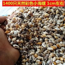 1400 only 1cm left and right natural small sea snail shells marine bottle starry air drifted bottle handmade diy material bag