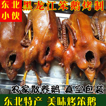 Authentic non-green roast goose Harbin cooked food northeast specialty roast goose store plastic seal delivery of a new year