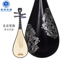 Beijing Xinghai Pipa musical instrument Adult beginner hardwood pipa 8911 Playing mahogany pipa 8912 Children 8901