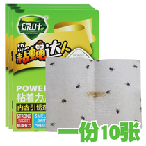 Stick flies flies mosquitoes flies cockroaches ants centipedes small flying insects sticky boards strong glue