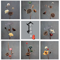 Zen dried flower bouquet combination showerhead pine cones Lotus real flower decoration ornaments Small fresh set shooting props