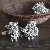 (Mushroom grass) Rural pastoral natural dried flower small ginkgo flower arrangement material shooting props ginkgo mushroom grass