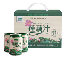 Lotus root juice whole box 248mlx12 cans gift box