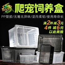 Reptile creeper feeding box Gougong lizard silkworm baby Scorpion spider horned frog insect hermit crab tree habitat breeding box