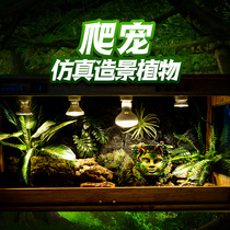 Reptile climbing pet feeding box Landscaping ecological rainforest tank simulation plant tortoise Lizard Chameleon Desert decoration