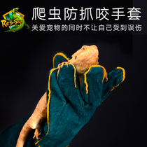 Crawler Climbing Green Hyena Lizard Snake Cat and Dog Protective Gloves Anti-bite Gloves Prevent Catch Gloves