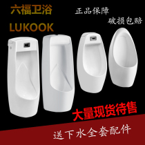 Liufu Lukok urinal hanging wall stand-up integrated induction urinal delay valve urinal