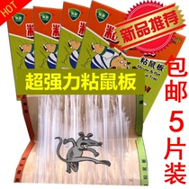 5 pieces of sticky mouse board super strong thick mouse paste anti mouse board cage glue drive catch mouse clip medicine