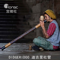 Didgeridoo Teak bamboo entry-level Dre Terre Didgeridoo Indonesia Australia imported bracket bag