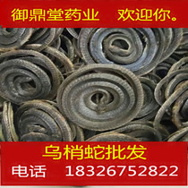 Chinese herbal medicine black snake Sichuan black snake dry 500g existing large goods 30 tons