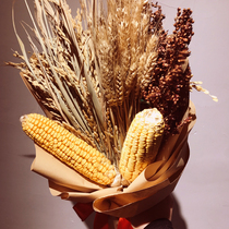 Grain pendant Farm house decoration Corn wheat dried flowers sorghum rice grain harvest crop bouquet