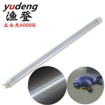 Yudeng white light T8 single-ended connected LED fish tank lamp with needle instead of Minjiang Yuhong LED aquarium light