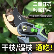 Garden forest Greening prunes cut flowers Scissors Scissors Pliers Sub versatile fruit trees pruner prunes cut fruit branches Prickly Pepper Tools Cut Branches