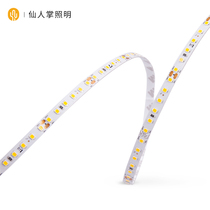 Cactus lighting high-end 2835 chip LED light strip 4 m living room 24V ceiling light strip living room light strip