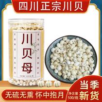 Sichuan fritillary powder Sichuan Bei powder Sichuan fritillary Traditional Chinese medicine Non-wild Songbei chuan bay fritillary 500 gr bottled Sichuan fritillary