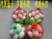 Plastic egg basket basket net pocket fruit weaving bamboo basket