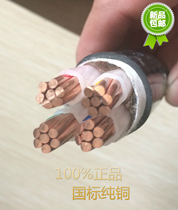  National standard copper core three four five core YJV2 3 4 5 core 10 16 25 35 square outdoor cable Cable copper wire