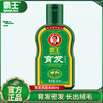 Overlord hair growth anti-off shampoo Hair care Hair growth hair density liquid Ginger shampoo anti-off