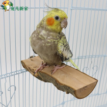 Darling new home Parrot apple wood springboard lounge platform Jumping bird toy Solid wood bird cage Stand stick platform grinding claw