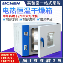 Lichen Technology Oven Electric Constant Temperature Blast Drying Box 101 Aging Thermostatic Chamber Medicinal Headlight Oven