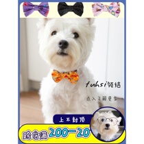 Fuhsi pet bow tie gentleman accessories small medium and large dog wedding dog accessories West Highland cat