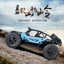 Large professional rc child remote control high-speed drift car 10-year-old boy 1:16 charging wireless charging off-road vehicle