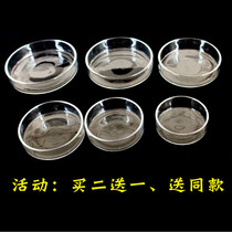  Fish tank Aquarium feeding basin Crystal shrimp ornamental snail ornamental shrimp feeding basin Feed basin Glass air feeding basin